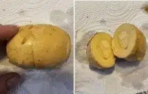 What is A Lash Egg? All You Need To Know & More