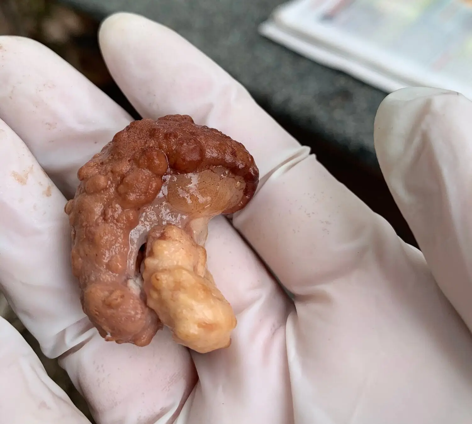 760873FA DF25 45D7 B3B9 B5A2765932F0 e1734486498725