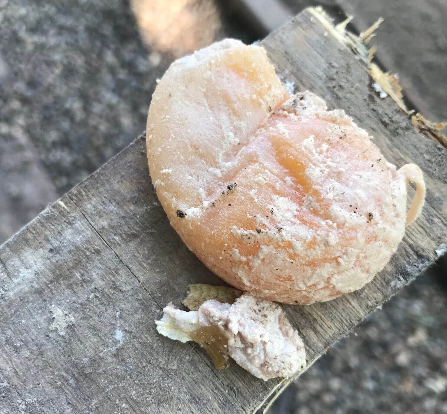 F99D14A3 9193 43B7 A4F2 C670B382DF98 e1734486407193