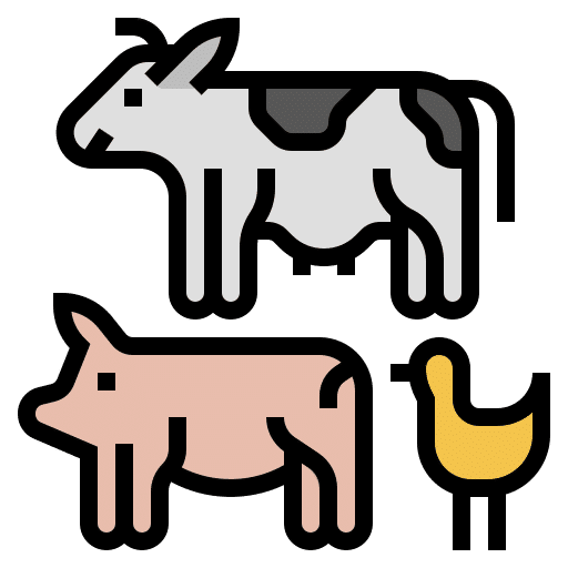 Livestock