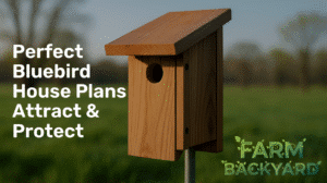 Creating the Perfect Bluebird House Design
